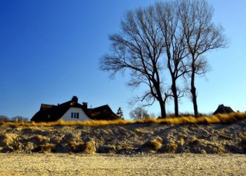 Fast Guide in Hiring Buyers Agents in Gold Coast