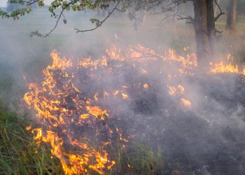 REALTORS® Relief Foundation Announces $1.5 Million Relief Grant for Victims of Maui Wildfires